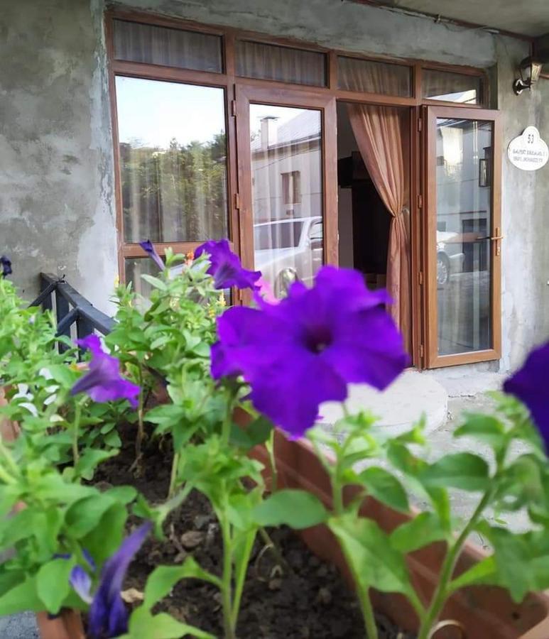 53 Jincharadze Street Makhinjauri, Batumi Villa Kültér fotó