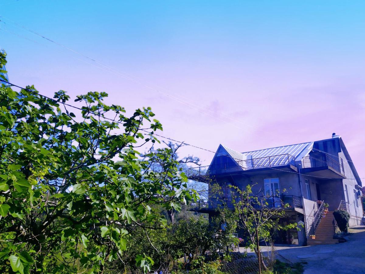 53 Jincharadze Street Makhinjauri, Batumi Villa Kültér fotó